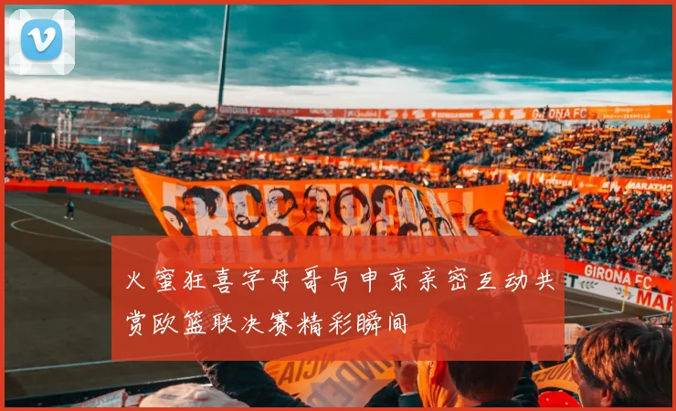 火蜜狂喜字母哥与申京亲密互动共赏欧篮联决赛精彩瞬间