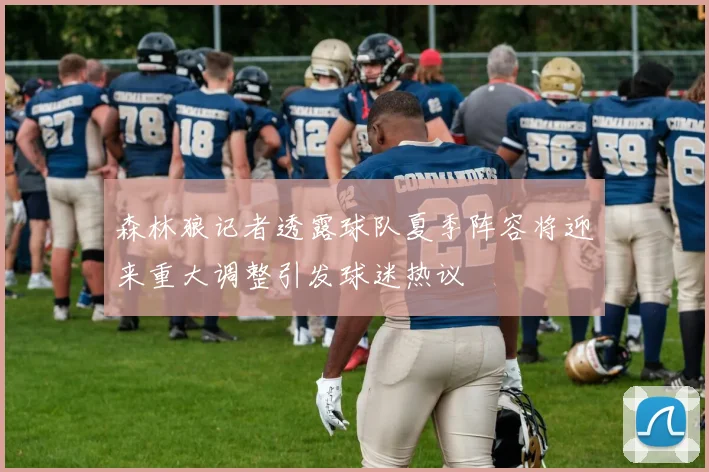 森林狼记者透露球队夏季阵容将迎来重大调整引发球迷热议